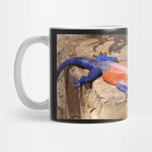 East African Rainbow Agama, Male Mug